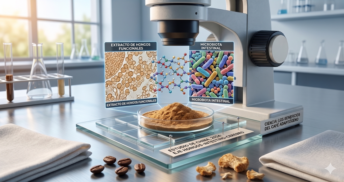 Hongos funcionales y microbiota intestinal: qué dice la ciencia más reciente
