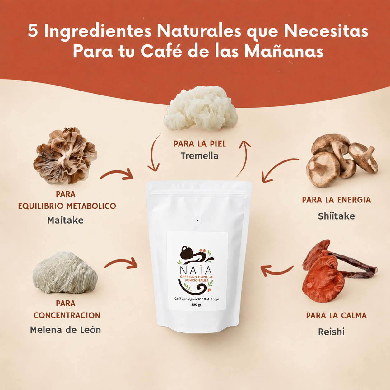 CAFÉ  ARABIGO MOLIDO CON HONGOS